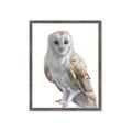 Picture of Watercolour Owl  _GroupedProduct_Rectangle_Portrait_Framed_Matted_