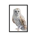 Picture of Watercolour Owl  _GroupedProduct_Rectangle_Portrait_Framed_Matted_