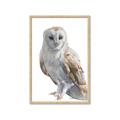 Picture of Watercolour Owl  _GroupedProduct_Rectangle_Portrait_Framed_Matted_
