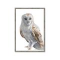 Picture of Watercolour Owl  _GroupedProduct_Rectangle_Portrait_Framed_Matted_