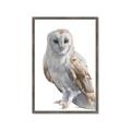 Picture of Watercolour Owl  _GroupedProduct_Rectangle_Portrait_Framed_Matted_