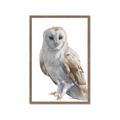 Picture of Watercolour Owl  _GroupedProduct_Rectangle_Portrait_Framed_Matted_