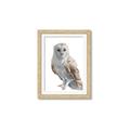 Picture of Watercolour Owl  _GroupedProduct_Rectangle_Portrait_Framed_Matted_