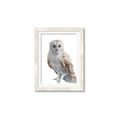 Picture of Watercolour Owl  _GroupedProduct_Rectangle_Portrait_Framed_Matted_
