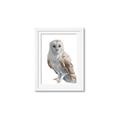 Picture of Watercolour Owl  _GroupedProduct_Rectangle_Portrait_Framed_Matted_