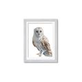 Picture of Watercolour Owl  _GroupedProduct_Rectangle_Portrait_Framed_Matted_