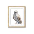 Picture of Watercolour Owl  _GroupedProduct_Rectangle_Portrait_Framed_Matted_