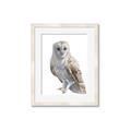 Picture of Watercolour Owl  _GroupedProduct_Rectangle_Portrait_Framed_Matted_