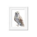 Picture of Watercolour Owl  _GroupedProduct_Rectangle_Portrait_Framed_Matted_