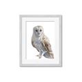 Picture of Watercolour Owl  _GroupedProduct_Rectangle_Portrait_Framed_Matted_