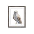 Picture of Watercolour Owl  _GroupedProduct_Rectangle_Portrait_Framed_Matted_