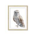 Picture of Watercolour Owl  _GroupedProduct_Rectangle_Portrait_Framed_Matted_