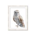 Picture of Watercolour Owl  _GroupedProduct_Rectangle_Portrait_Framed_Matted_