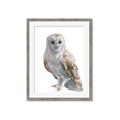 Picture of Watercolour Owl  _GroupedProduct_Rectangle_Portrait_Framed_Matted_