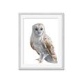 Picture of Watercolour Owl  _GroupedProduct_Rectangle_Portrait_Framed_Matted_