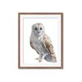 Picture of Watercolour Owl  _GroupedProduct_Rectangle_Portrait_Framed_Matted_