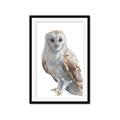 Picture of Watercolour Owl  _GroupedProduct_Rectangle_Portrait_Framed_Matted_