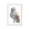 Picture of Watercolour Owl  _GroupedProduct_Rectangle_Portrait_Framed_Matted_