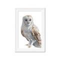 Picture of Watercolour Owl  _GroupedProduct_Rectangle_Portrait_Framed_Matted_