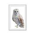 Picture of Watercolour Owl  _GroupedProduct_Rectangle_Portrait_Framed_Matted_