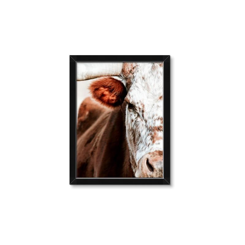 Picture of Brown & black Cattle _GroupedProduct_Rectangle_Portrait_Photography _GroupedProduct_Rectangle_Portrait_Framed_Matted_