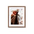 Picture of Brown & black Cattle _GroupedProduct_Rectangle_Portrait_Photography _GroupedProduct_Rectangle_Portrait_Framed_Matted_