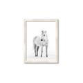 Picture of Solo White Horse _GroupedProduct_Rectangle_Portrait_Photography _GroupedProduct_Rectangle_Portrait_Framed_Matted_