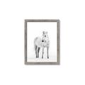 Picture of Solo White Horse _GroupedProduct_Rectangle_Portrait_Photography _GroupedProduct_Rectangle_Portrait_Framed_Matted_