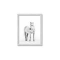 Picture of Solo White Horse _GroupedProduct_Rectangle_Portrait_Photography _GroupedProduct_Rectangle_Portrait_Framed_Matted_