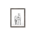 Picture of Solo White Horse _GroupedProduct_Rectangle_Portrait_Photography _GroupedProduct_Rectangle_Portrait_Framed_Matted_