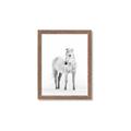 Picture of Solo White Horse _GroupedProduct_Rectangle_Portrait_Photography _GroupedProduct_Rectangle_Portrait_Framed_Matted_