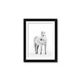 Picture of Solo White Horse _GroupedProduct_Rectangle_Portrait_Photography _GroupedProduct_Rectangle_Portrait_Framed_Matted_
