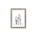 Picture of Solo White Horse _GroupedProduct_Rectangle_Portrait_Photography _GroupedProduct_Rectangle_Portrait_Framed_Matted_