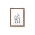 Picture of Solo White Horse _GroupedProduct_Rectangle_Portrait_Photography _GroupedProduct_Rectangle_Portrait_Framed_Matted_