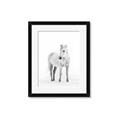 Picture of Solo White Horse _GroupedProduct_Rectangle_Portrait_Photography _GroupedProduct_Rectangle_Portrait_Framed_Matted_