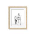 Picture of Solo White Horse _GroupedProduct_Rectangle_Portrait_Photography _GroupedProduct_Rectangle_Portrait_Framed_Matted_