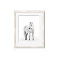 Picture of Solo White Horse _GroupedProduct_Rectangle_Portrait_Photography _GroupedProduct_Rectangle_Portrait_Framed_Matted_