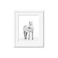 Picture of Solo White Horse _GroupedProduct_Rectangle_Portrait_Photography _GroupedProduct_Rectangle_Portrait_Framed_Matted_