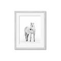 Picture of Solo White Horse _GroupedProduct_Rectangle_Portrait_Photography _GroupedProduct_Rectangle_Portrait_Framed_Matted_