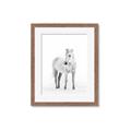 Picture of Solo White Horse _GroupedProduct_Rectangle_Portrait_Photography _GroupedProduct_Rectangle_Portrait_Framed_Matted_