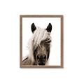 Picture of Looking at you Sepia _GroupedProduct_Rectangle_Portrait_Photography _GroupedProduct_Rectangle_Portrait_Framed_Matted_