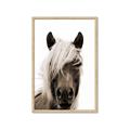 Picture of Looking at you Sepia _GroupedProduct_Rectangle_Portrait_Photography _GroupedProduct_Rectangle_Portrait_Framed_Matted_