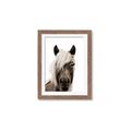 Picture of Looking at you Sepia _GroupedProduct_Rectangle_Portrait_Photography _GroupedProduct_Rectangle_Portrait_Framed_Matted_