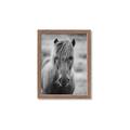 Picture of Icelandic horse in black and white _GroupedProduct_Rectangle_Portrait_Photography _GroupedProduct_Rectangle_Portrait_Framed_Matted_