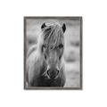 Picture of Icelandic horse in black and white _GroupedProduct_Rectangle_Portrait_Photography _GroupedProduct_Rectangle_Portrait_Framed_Matted_