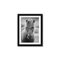 Picture of Icelandic horse in black and white _GroupedProduct_Rectangle_Portrait_Photography _GroupedProduct_Rectangle_Portrait_Framed_Matted_