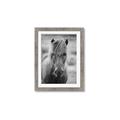 Picture of Icelandic horse in black and white _GroupedProduct_Rectangle_Portrait_Photography _GroupedProduct_Rectangle_Portrait_Framed_Matted_