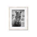 Picture of Icelandic horse in black and white _GroupedProduct_Rectangle_Portrait_Photography _GroupedProduct_Rectangle_Portrait_Framed_Matted_