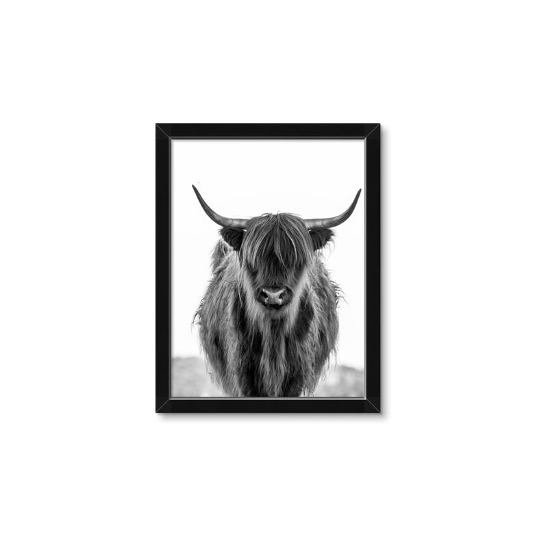 Picture of B&W Highland _GroupedProduct_Rectangle_Portrait_Photography _GroupedProduct_Rectangle_Portrait_Framed_Matted_