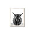 Picture of B&W Highland _GroupedProduct_Rectangle_Portrait_Photography _GroupedProduct_Rectangle_Portrait_Framed_Matted_